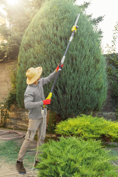 Lawn Maintenance Plans in Pawhuska, OK